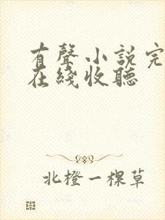 有声小说完结版在线收听