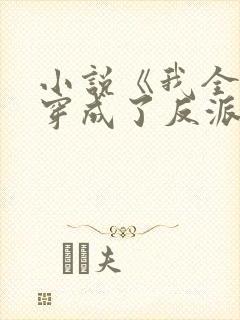 小说《我全家都穿成了反派》