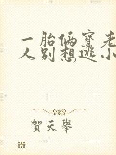 一胎俩宝老婆大人别想逃小说