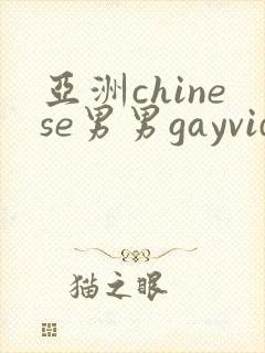 亚洲chinese男男gayvideo封面
