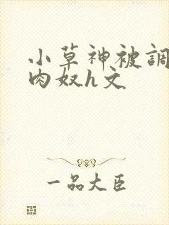 小草神被调教成肉奴h文