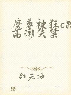 魔尊被狂c躁到高潮失禁封面