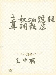 主奴sm跪爬道具调教虐封面