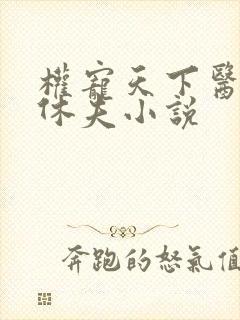权宠天下医妃要休夫小说封面