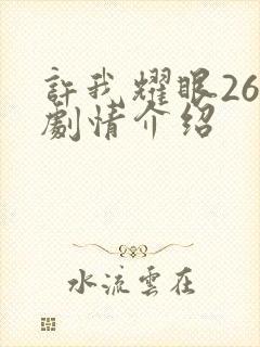 许我耀眼26集剧情介绍