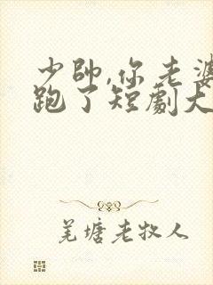 少帅,你老婆又跑了短剧大结局