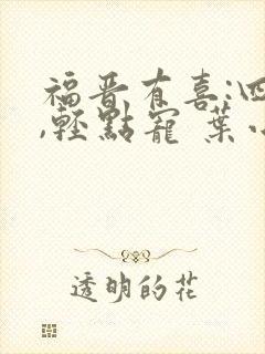 福晋有喜:四爷,轻点宠 叶小甜