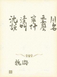 沈清宁季川的小说叫什么名字