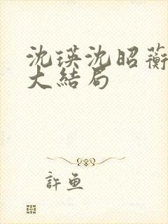 沈瑛沈昭蘅后续大结局