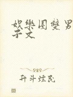娱乐圈双男主生子文