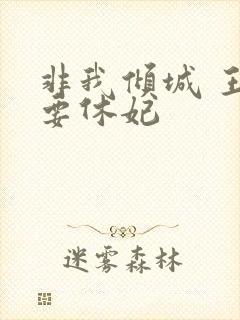 非我倾城 王爷要休妃封面