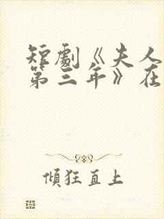 短剧《夫人走的第三年》在线观看