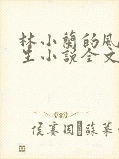 林小兰的风流人生小说全文免费阅读