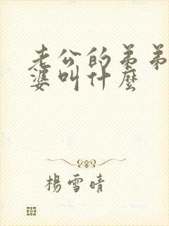 老公的弟弟的老婆叫什么封面