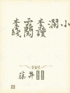 李霖李澜小说在线阅读