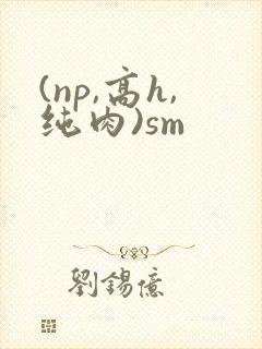 (np,高h,纯肉)sm