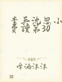 李兵沈思小说免费读第30封面