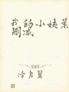 我的小姨叶凡无删减