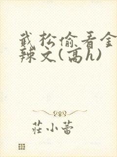 武松偷看金莲肉辣文(高h)