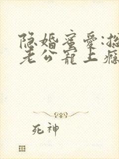 隐婚蜜爱:总裁老公宠上瘾 完本