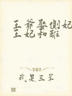 王爷娶侧妃当天王妃和离
