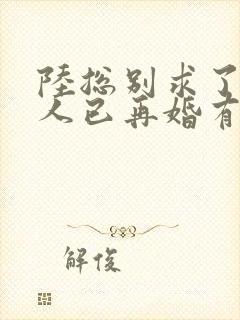 陆总别求了,夫人已再婚有娃了短剧免费观看封面