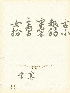 女主穿越古代女扮男装的小说