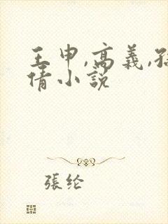 王申,高义,孙倩小说