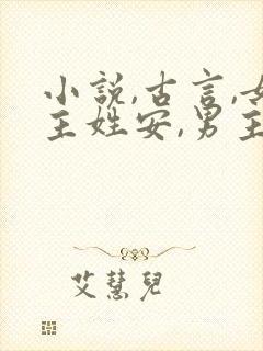 小说,古言,女主姓安,男主是个将军