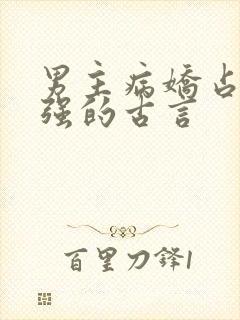 男主病娇占有欲强的古言