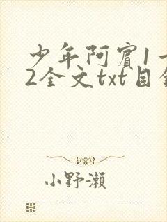 少年阿宾1一72全文txt目录