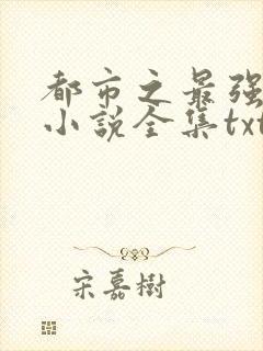都市之最强狂兵小说全集txt