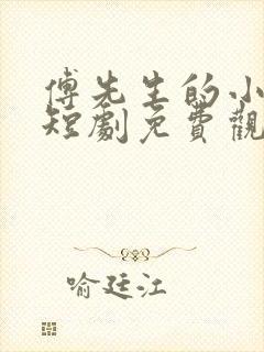 傅先生的小作精短剧免费观看
