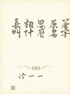 长相思原著小说叫什么名字