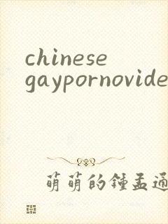 chinesegaypornovideos