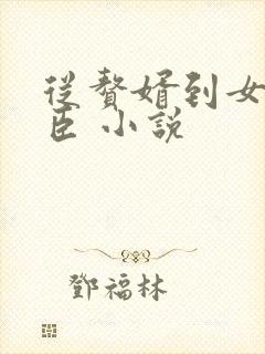 从赘婿到女帝宠臣 小说