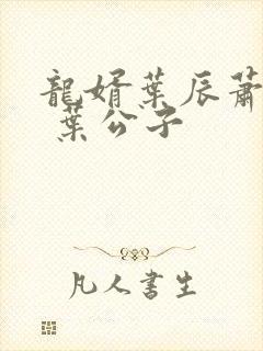 龙婿叶辰萧初然 叶公子