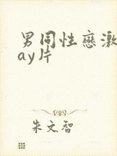 男同性恋激情gay片