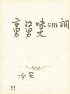 重囗味sm调教男男文封面