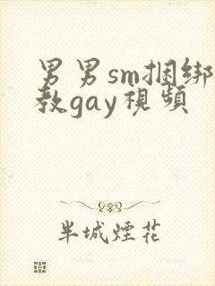 男男sm捆绑调教gay视频封面