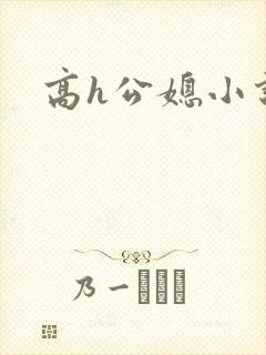 高h公媳小说