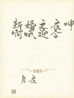 新婚之夜呻吟嗯啊哦迎合