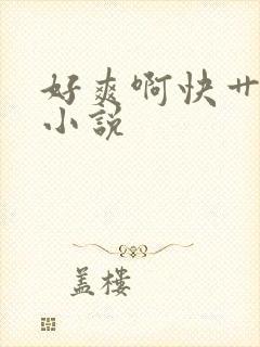 好爽啊快艹我的小说