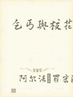 乞丐与校花后续