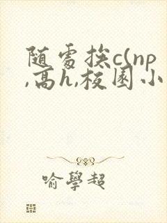 随处挨c(np,高h,校园小说