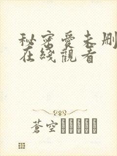 秘密爱未删减版在线观看封面