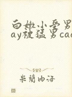 白嫩小受男男gay被猛男cao