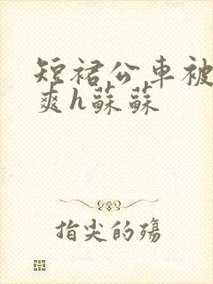 短裙公车被强好爽h苏苏