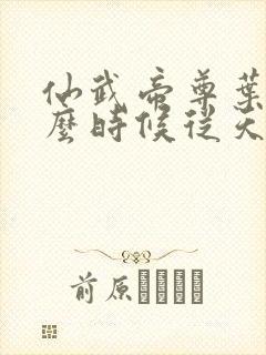 仙武帝尊叶辰什么时候从天界回来