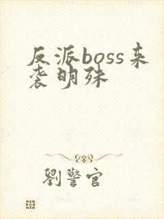 反派boss来袭明殊